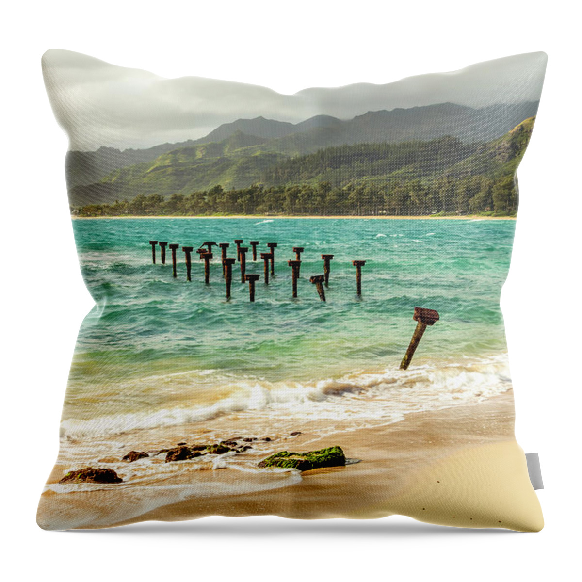Aqua Throw Pillow featuring the photograph Pounders Beach 6 by Leigh Anne Meeks