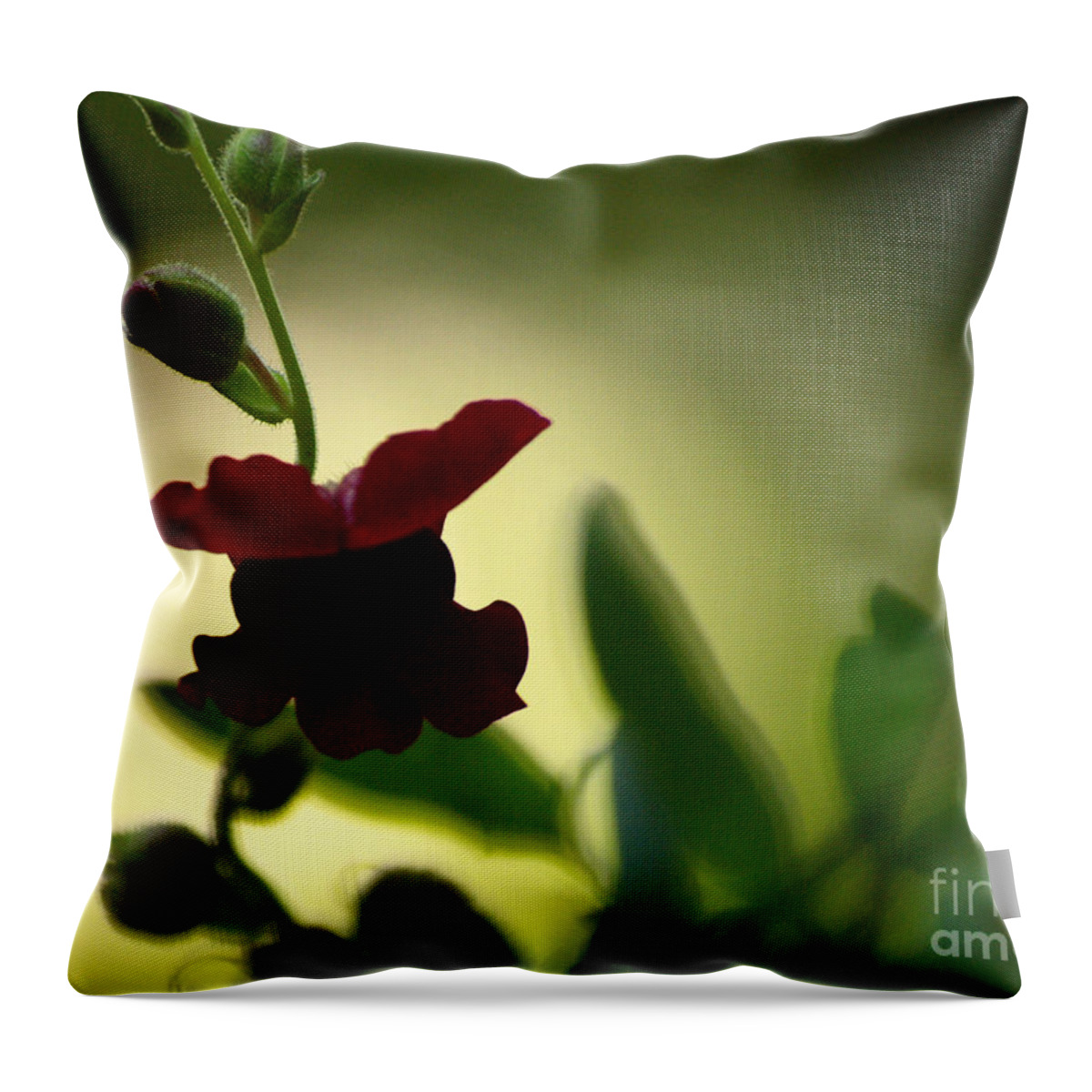 Flowers Throw Pillow featuring the photograph Pout by Dorothy Lee