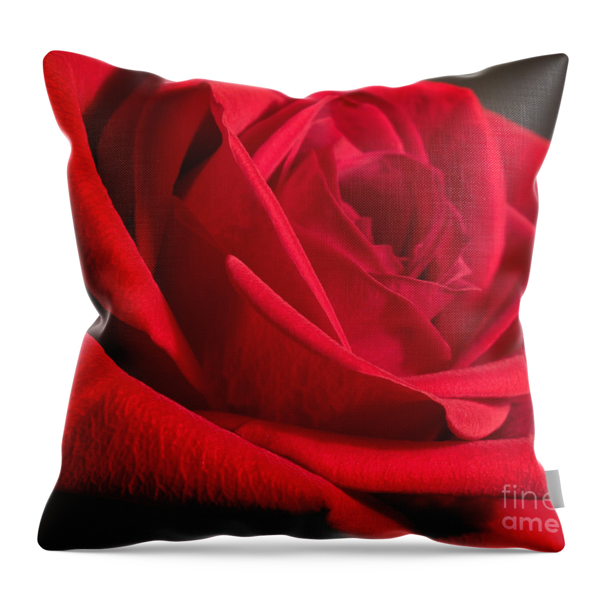 Rose Throw Pillow featuring the photograph Power of Love by Anita Oakley