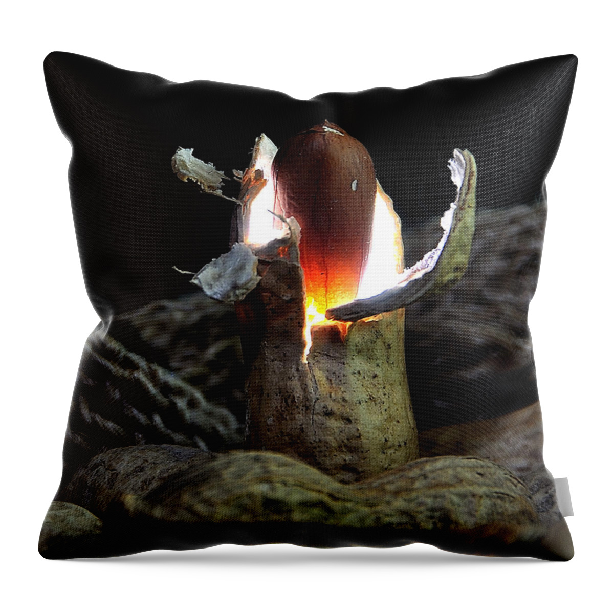 Peanut Throw Pillow featuring the photograph Power Peanut by Mark Fuller