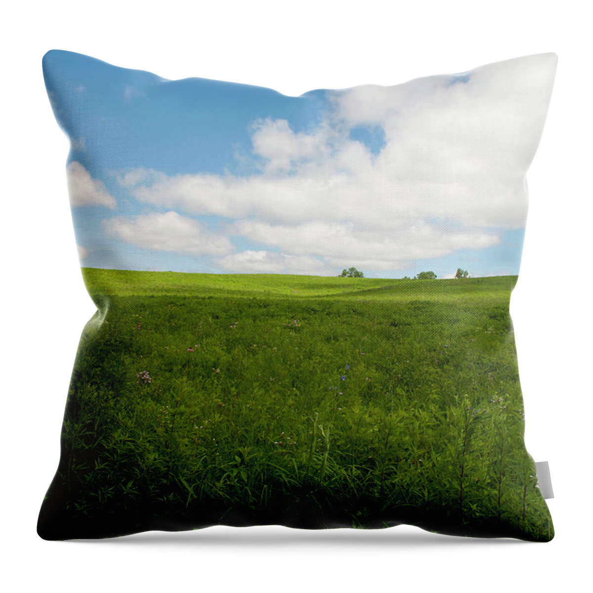 Iowa Throw Pillow featuring the photograph Prairie and Sky by Julia McHugh