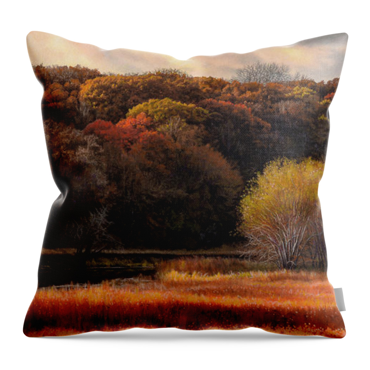 Autumn Landscape Throw Pillow featuring the drawing Prairie Autumn Stream by Bruce Morrison