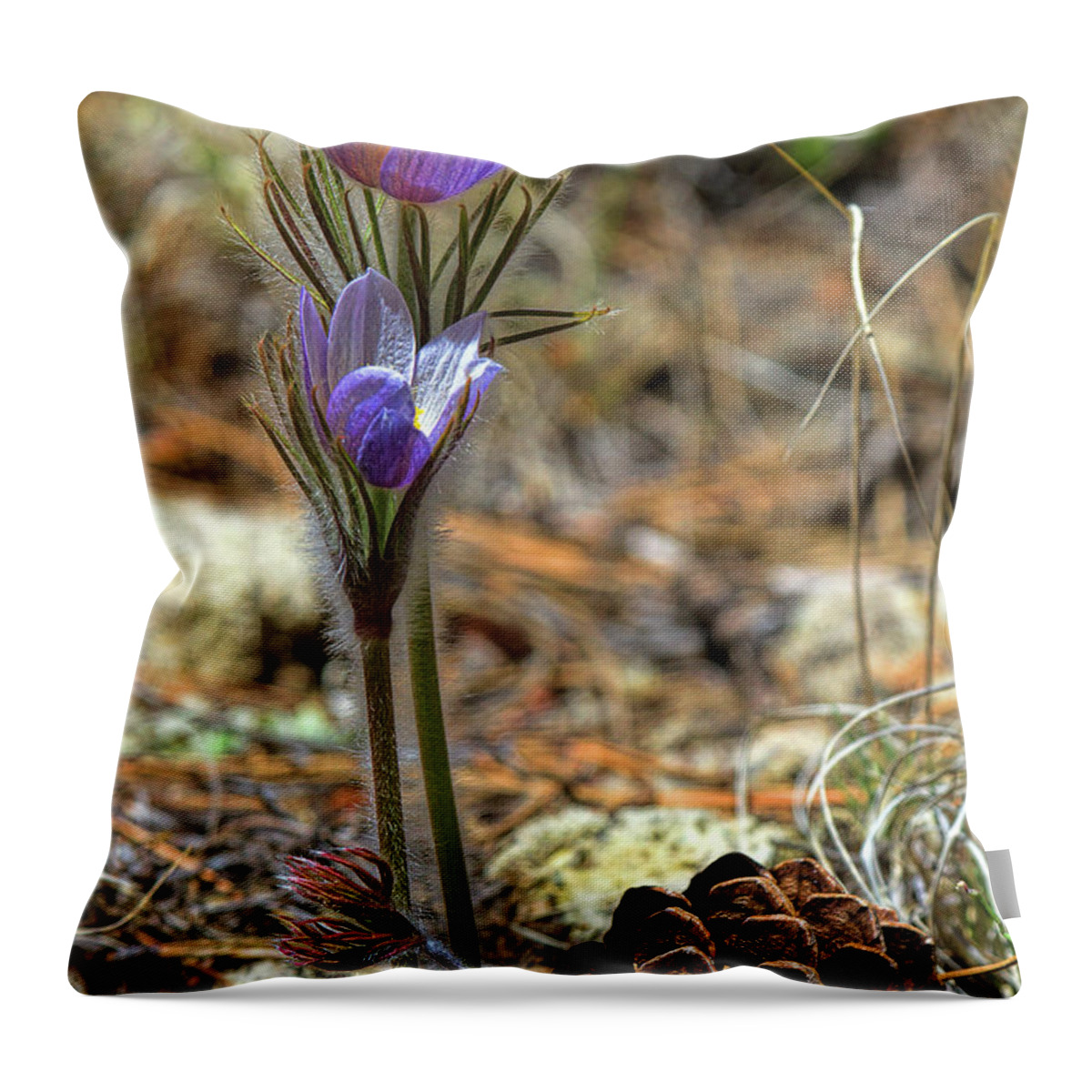Pasque Flower Throw Pillow featuring the photograph Prairie Crocus by Jim Garrison