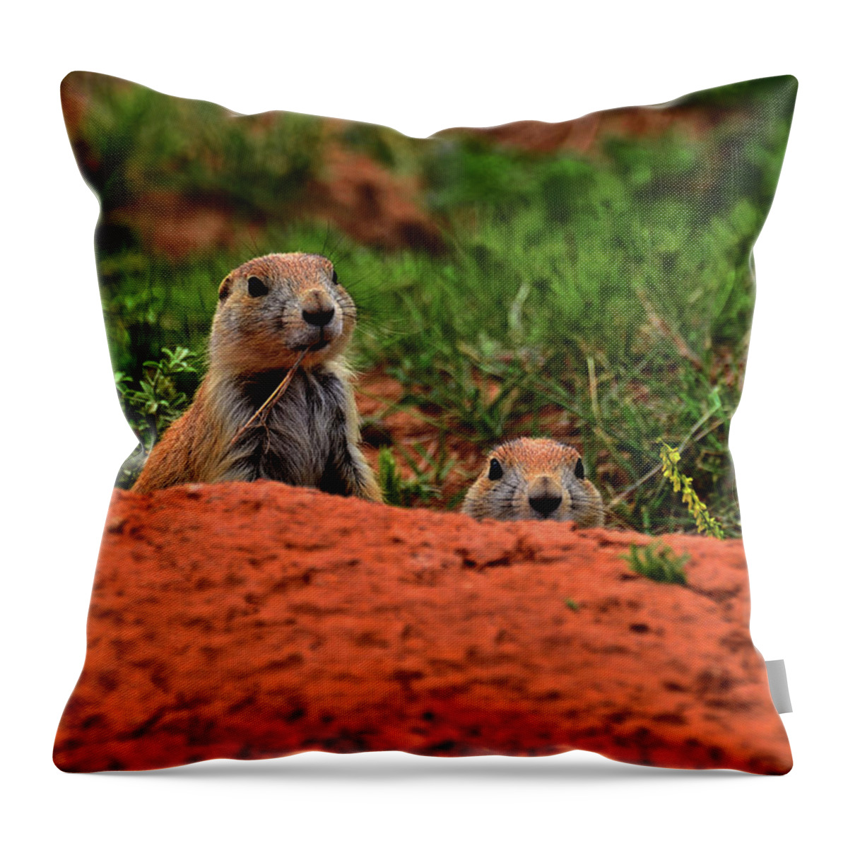 Prairie Dogs Throw Pillow featuring the photograph Prairie Dogs 004 by George Bostian