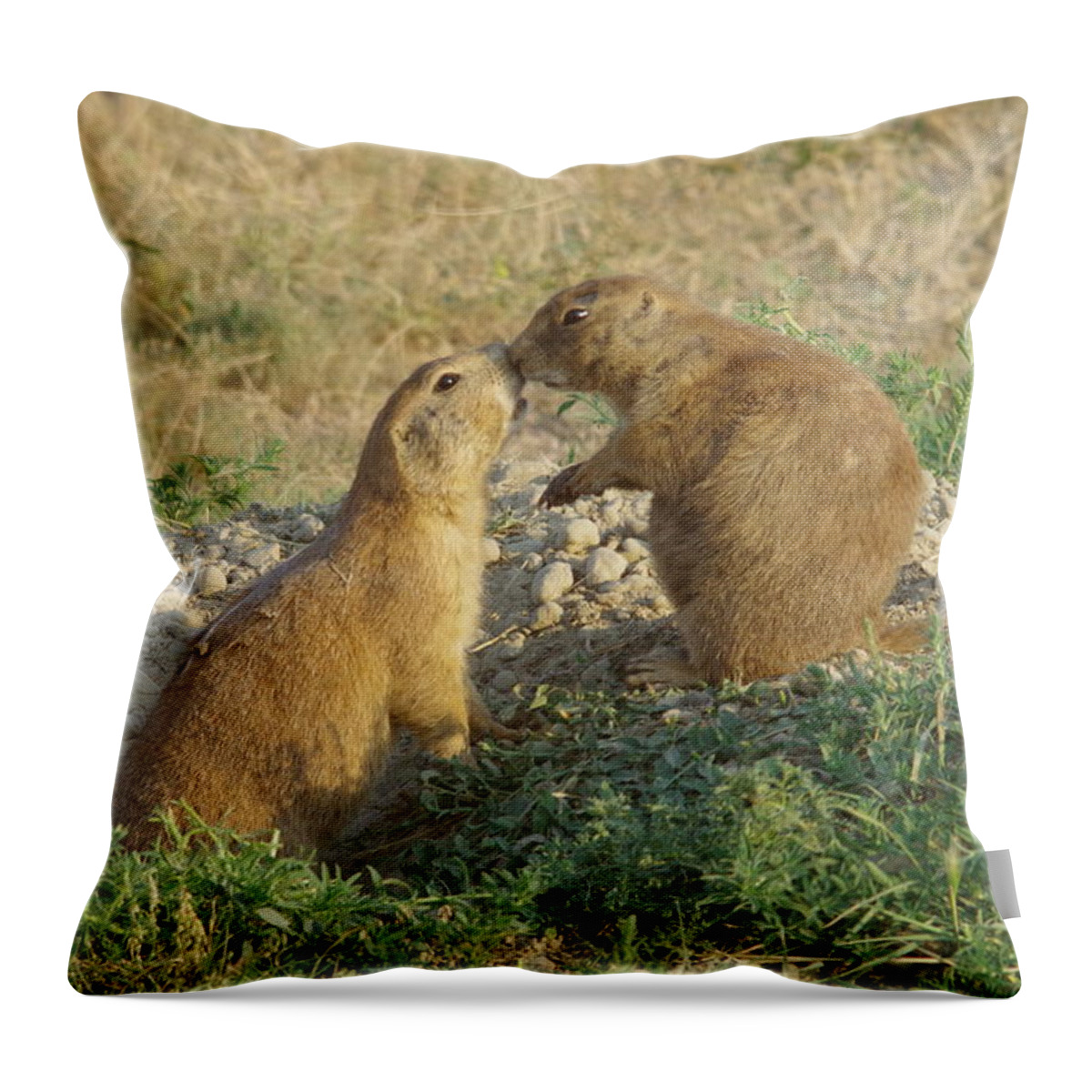 Prairie Dogs Throw Pillow featuring the photograph Prairie Dogs Kissing by Jeff Swan