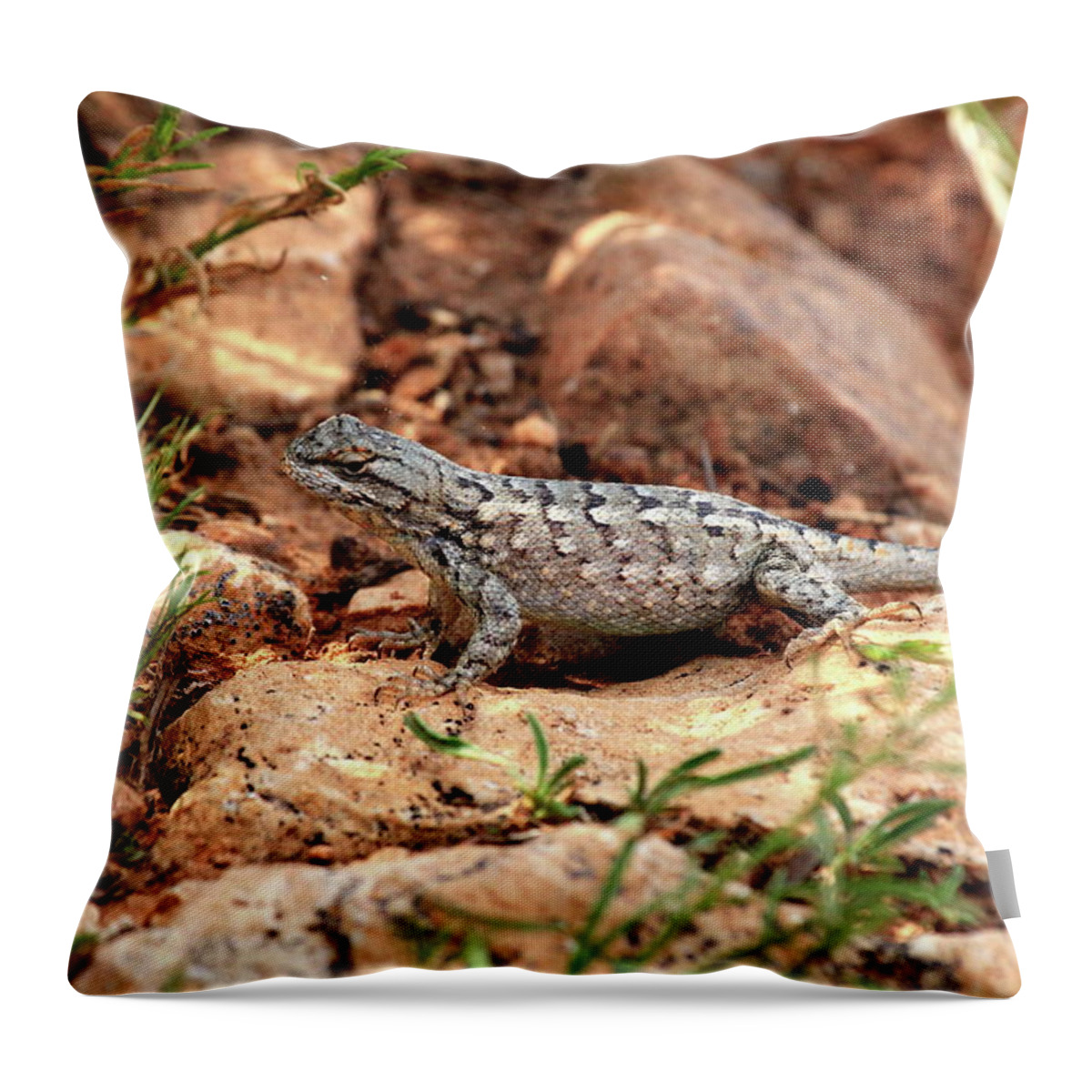 Wild Throw Pillow featuring the photograph Prairie Lizard by Trent Mallett
