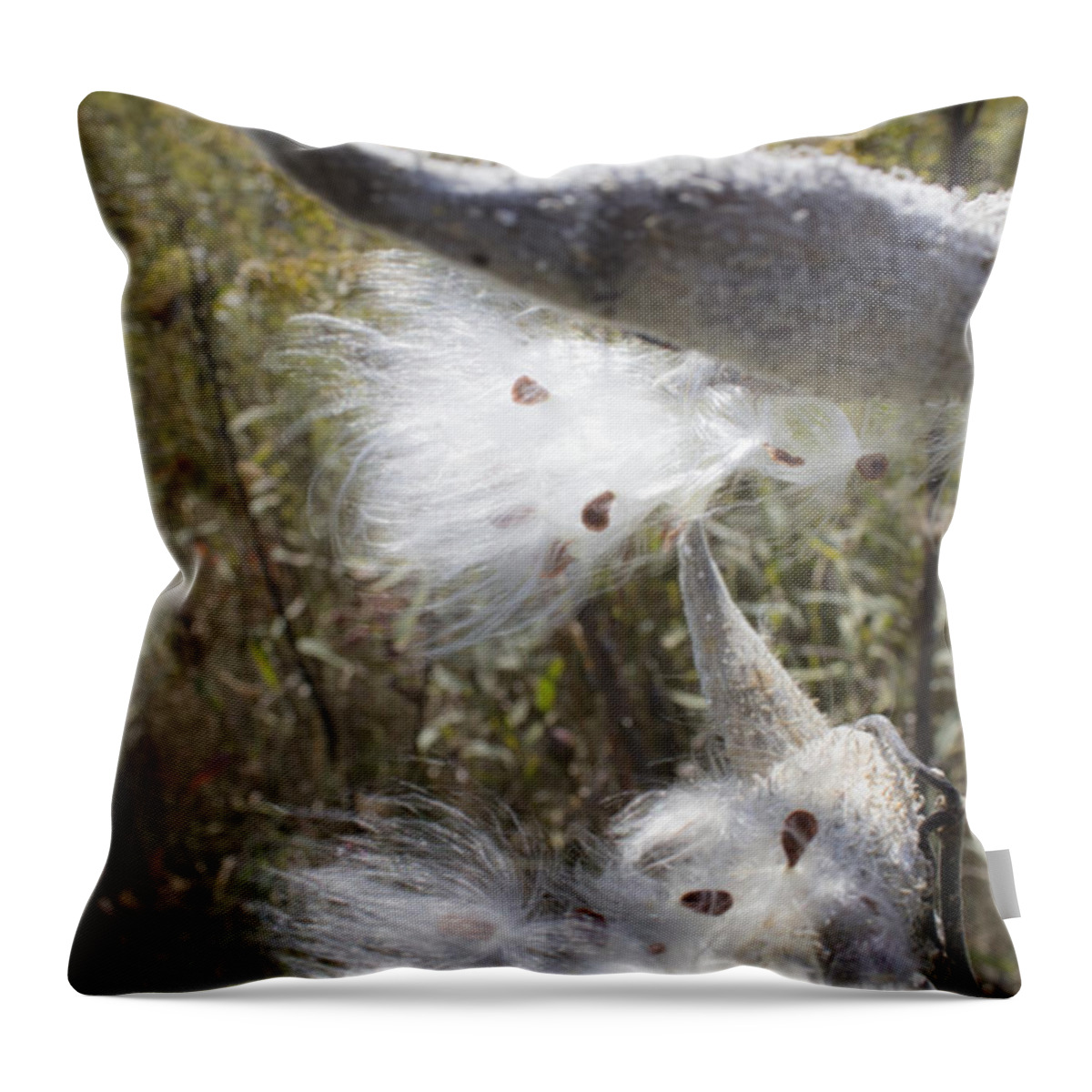 Milkweed Throw Pillow featuring the photograph Prairie Milkweed by Tracey Rees