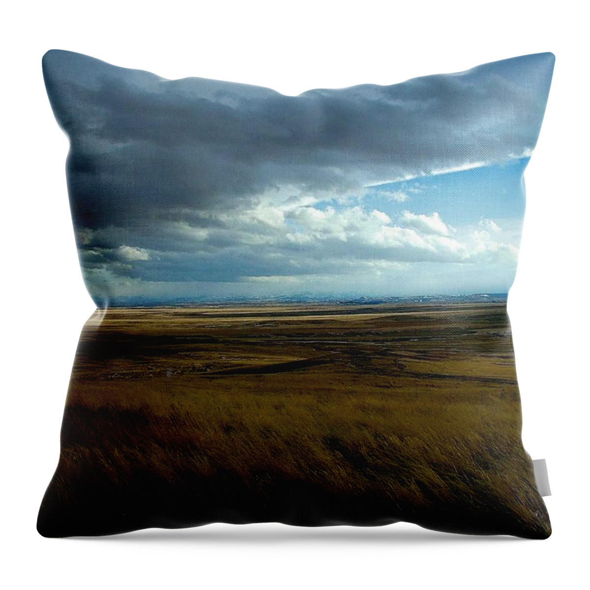 Prairie Storm Throw Pillow featuring the photograph Prairie Storm by Tracey Vivar