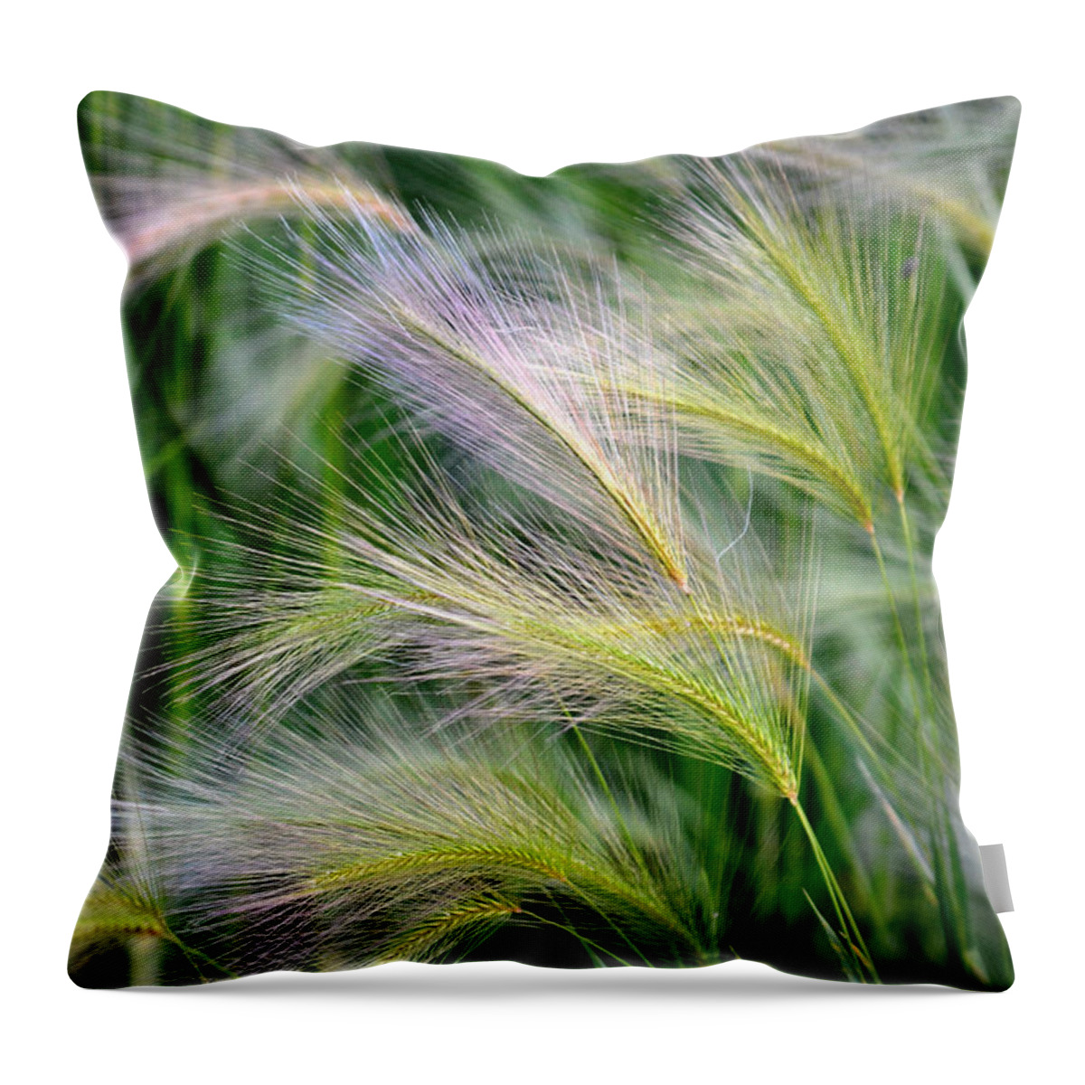 Nature Throw Pillow featuring the photograph Prairie Wind by Deb Halloran