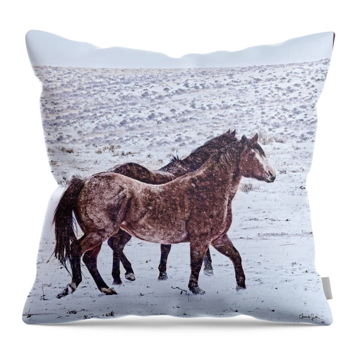 Snow Throw Pillow featuring the photograph Prancing in the Snow by Amanda Smith