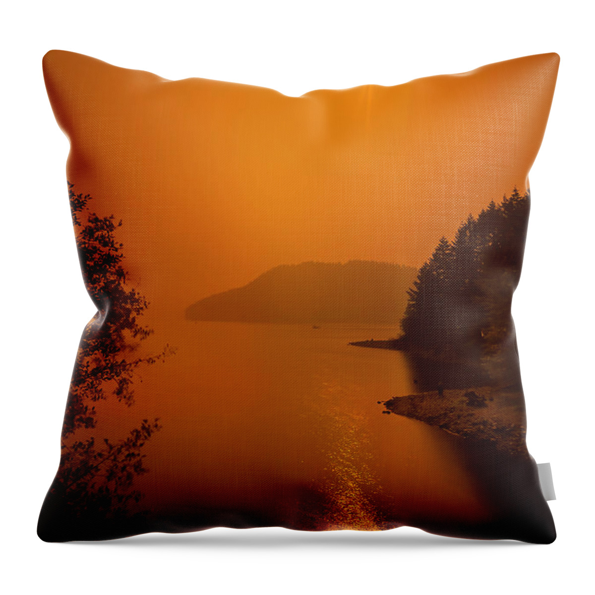 Solar Eclipse Throw Pillow featuring the photograph Preclipse 8.17 by Dan McGeorge