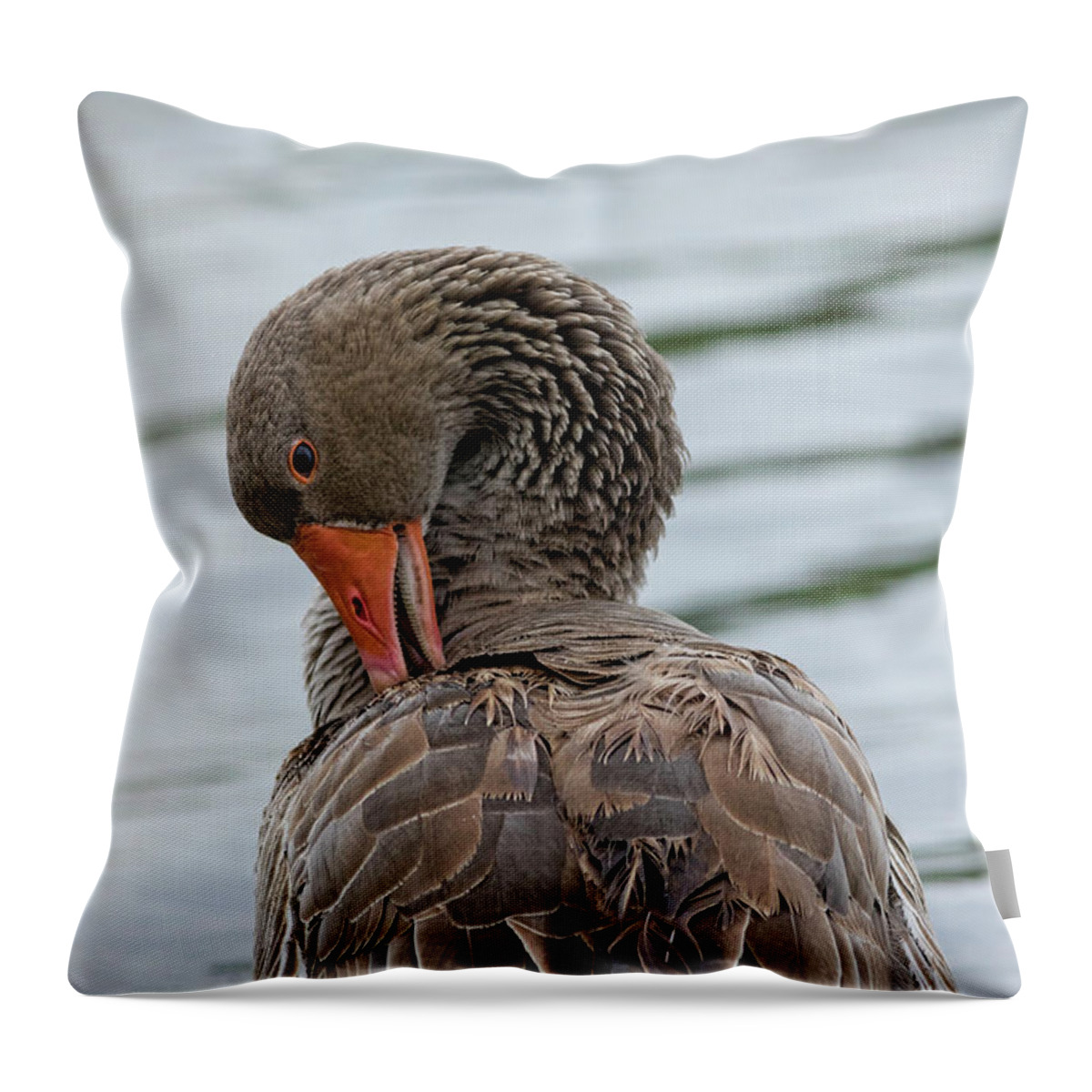 Bird Throw Pillow featuring the photograph Preening by Mark Harrington