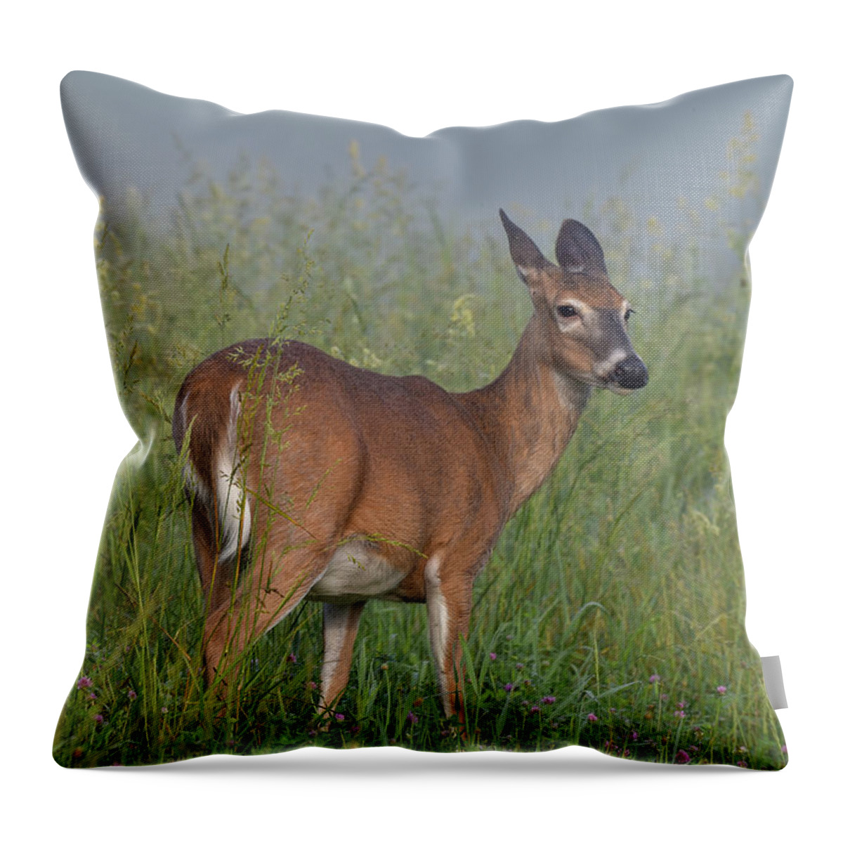 Deer Throw Pillow featuring the photograph Pregnant Doe in Cades Cove by Robert J Wagner