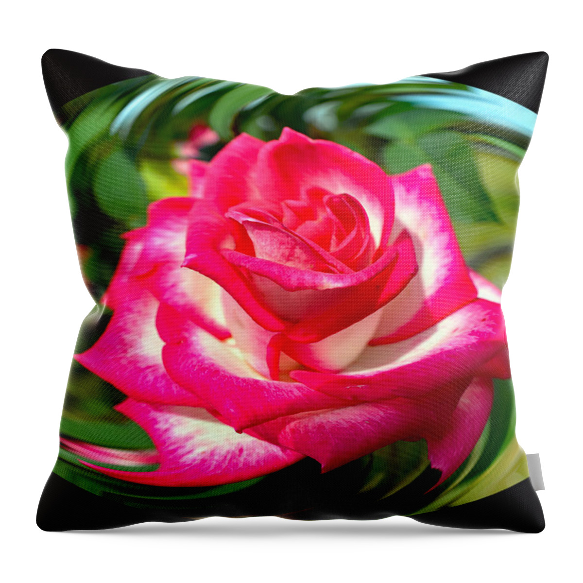 Art Throw Pillow featuring the photograph Presentation by DB Hayes