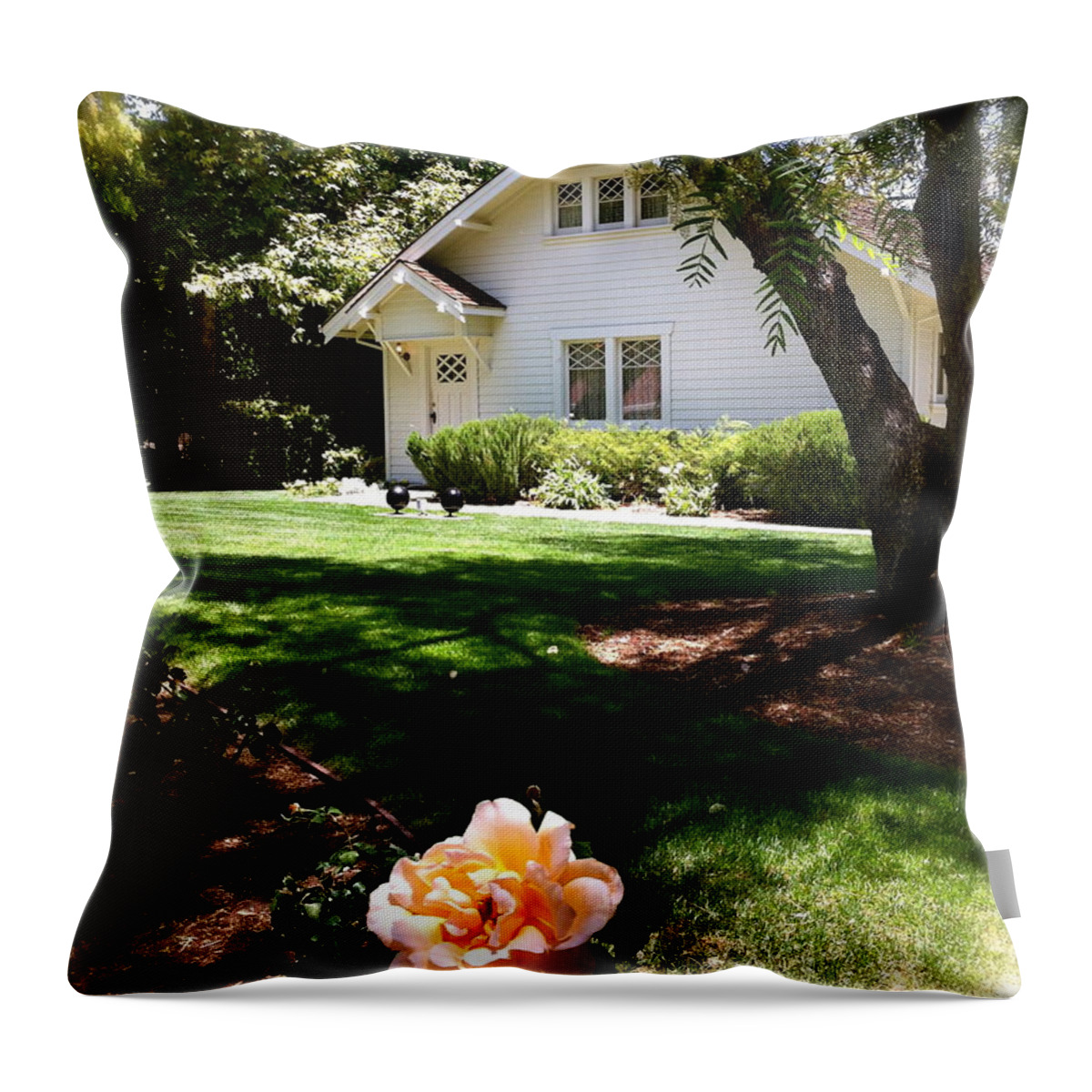 President Richard Nixon Collectibles Throw Pillow featuring the photograph President Nixon Home Richard Nixon by Iconic Images Art Gallery David Pucciarelli