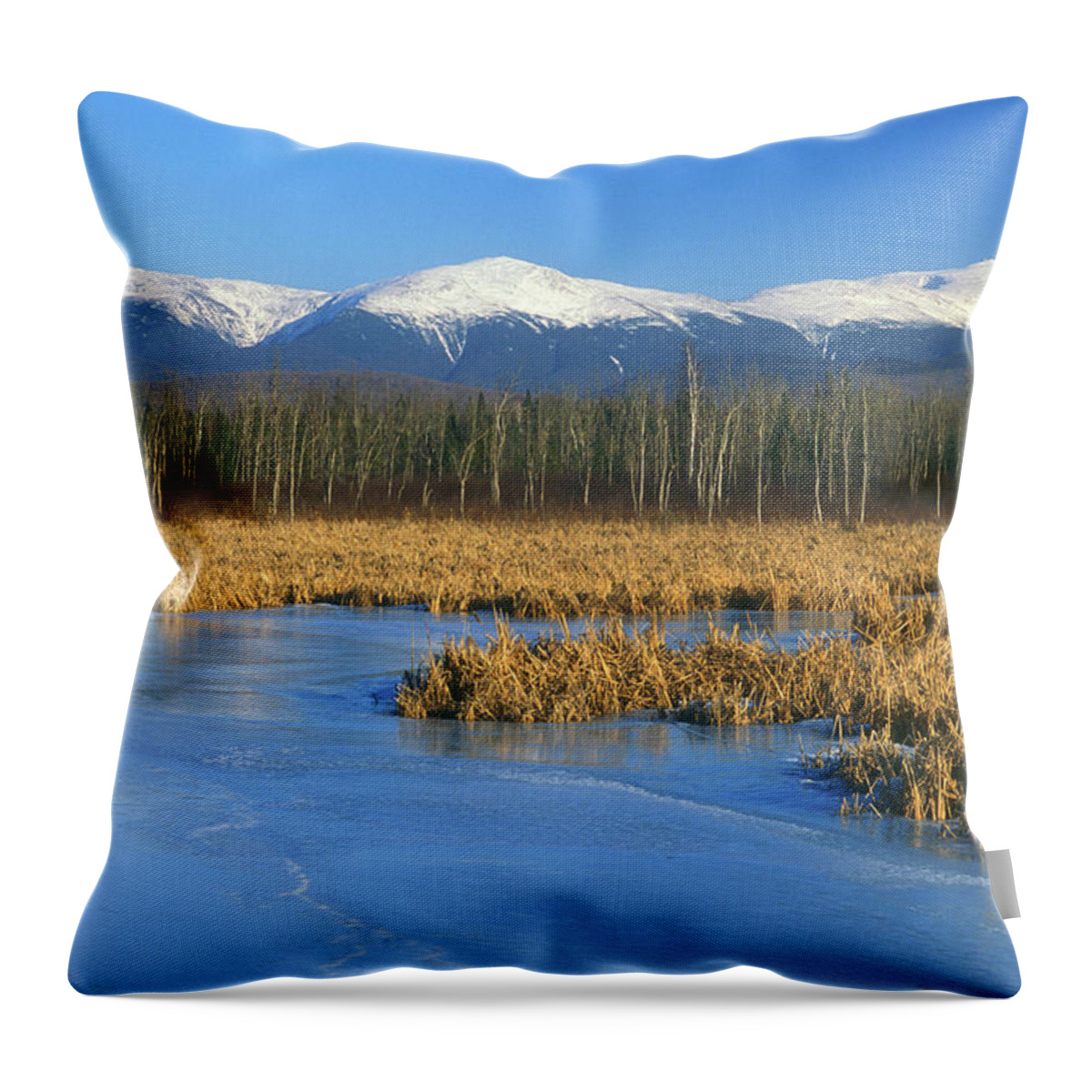 New Hampshire Throw Pillow featuring the photograph Presidential Range from Pondicherry Refuge by John Burk