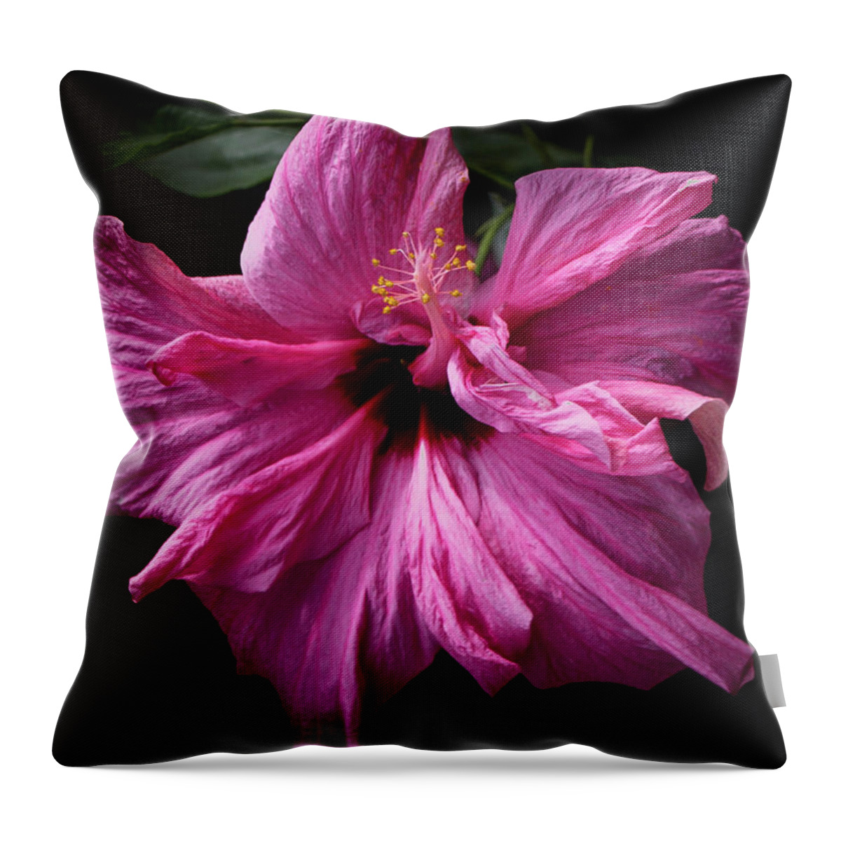 Botanical Throw Pillow featuring the photograph Prettiest in Pink by Venetia Featherstone-Witty