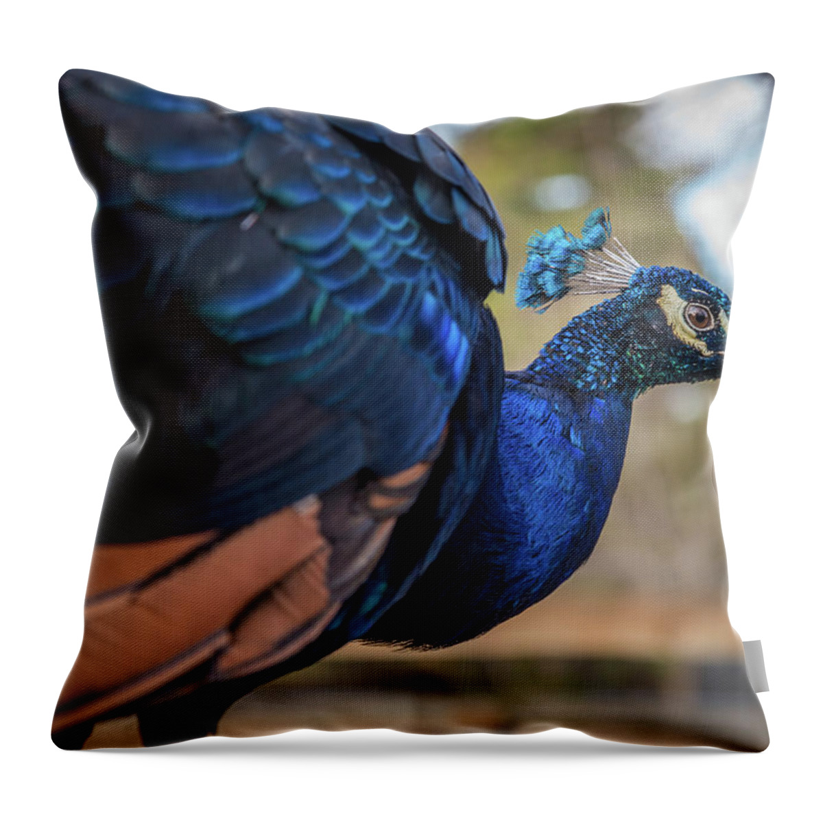 Forked River Throw Pillow featuring the photograph Pretty Bird by Kristopher Schoenleber
