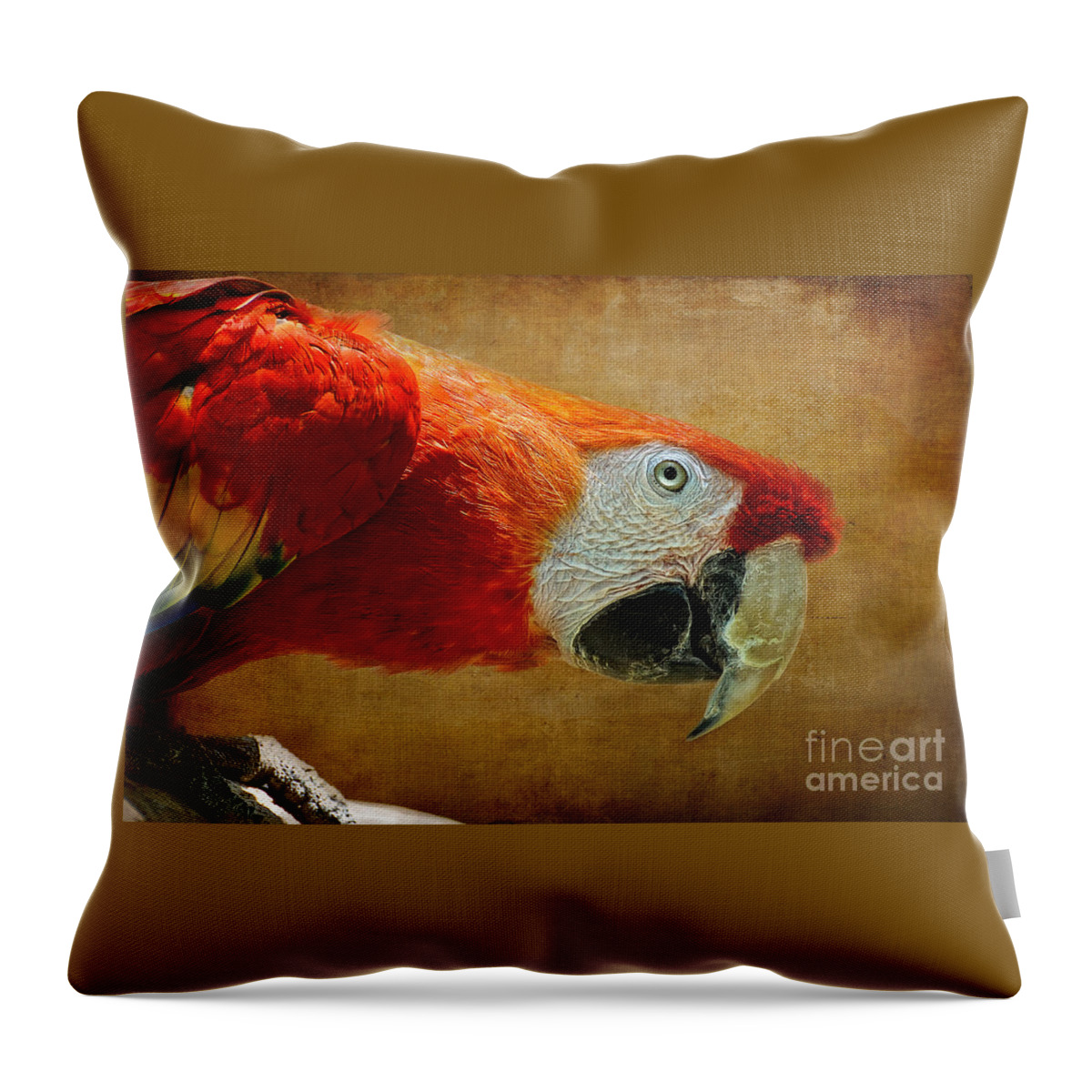 Parrot Throw Pillow featuring the photograph Pretty Boy by Lois Bryan