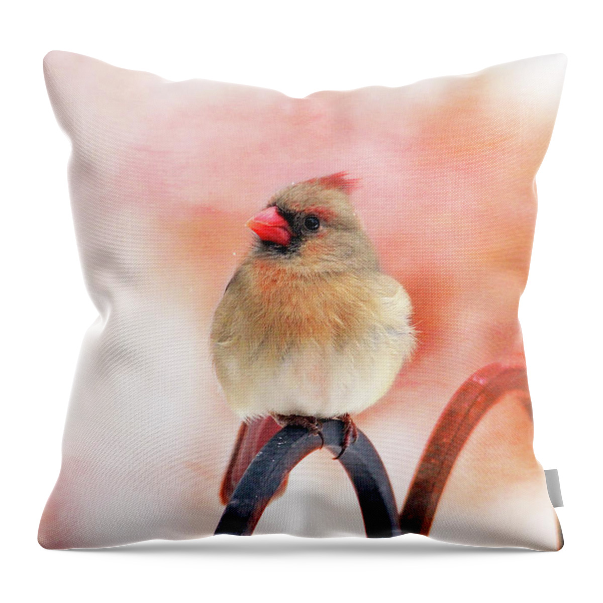 Birds Throw Pillow featuring the photograph Pretty Cardinal by Trina Ansel