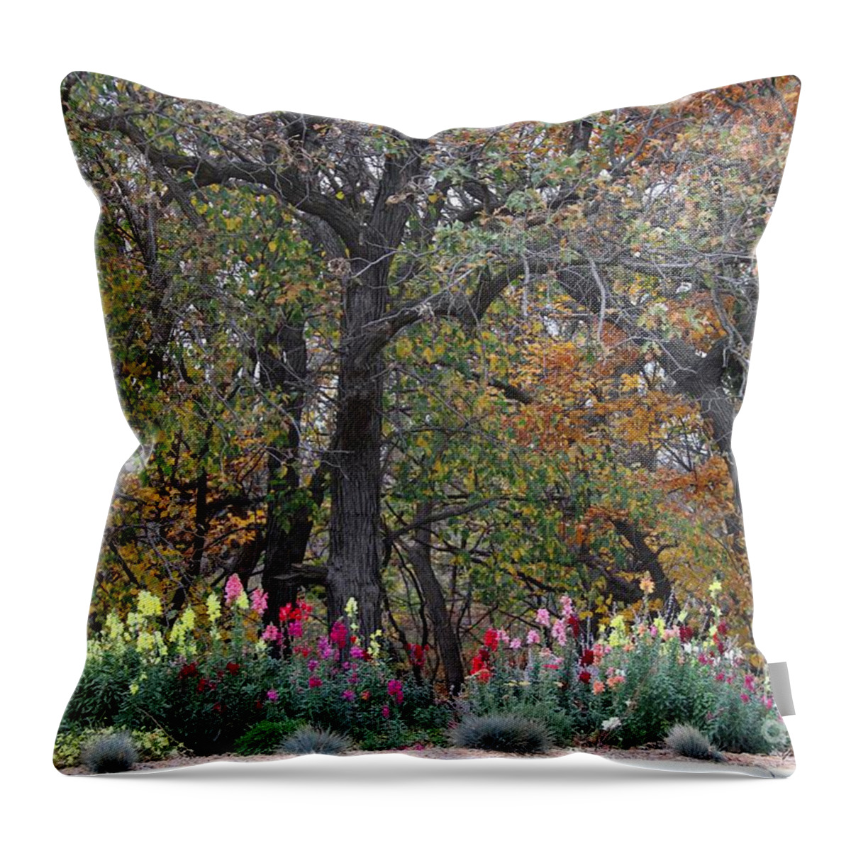 Flowers Throw Pillow featuring the photograph Pretty display by Yumi Johnson