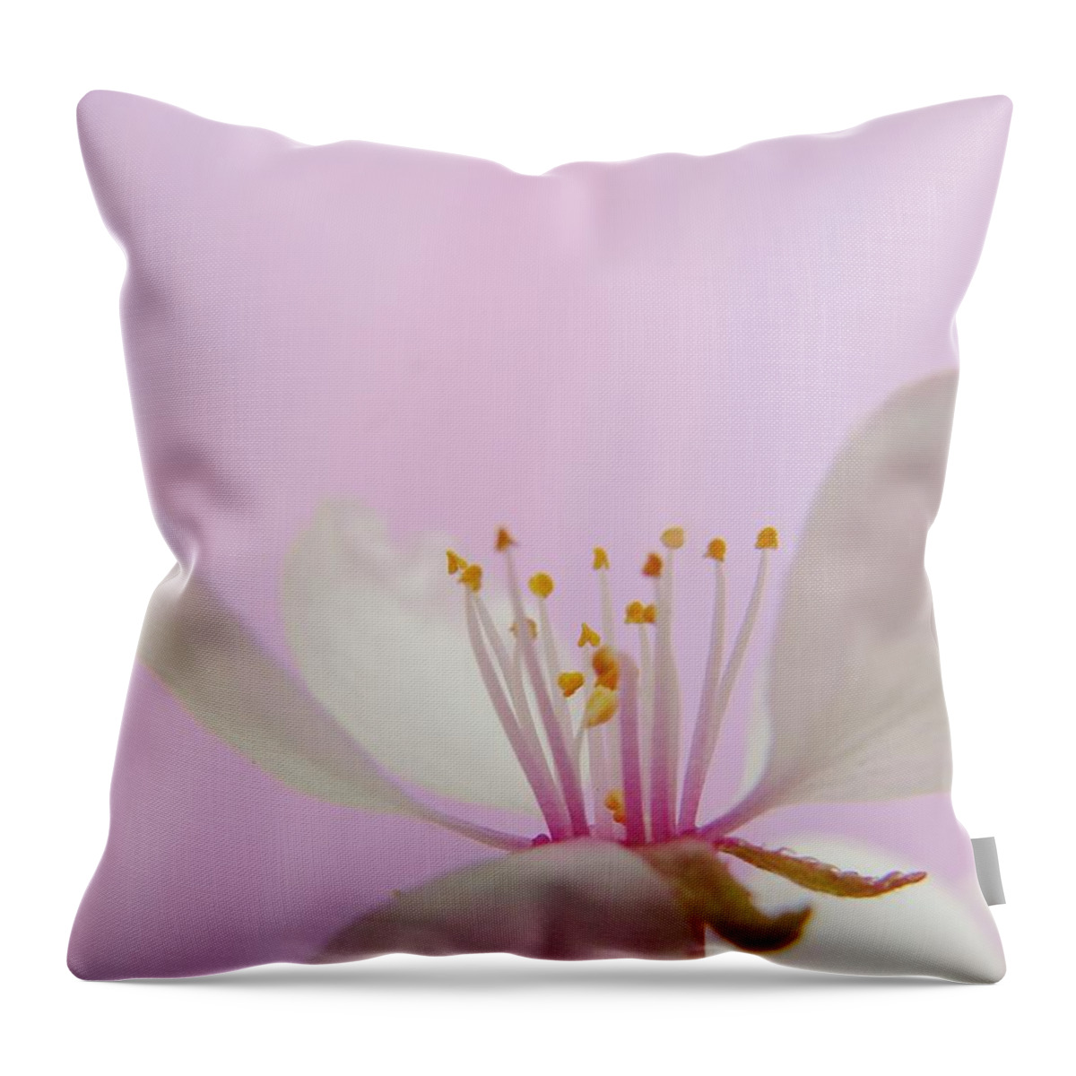 Cherry Throw Pillow featuring the photograph Pretty in Pink Cherry Blossom by Barbara St Jean