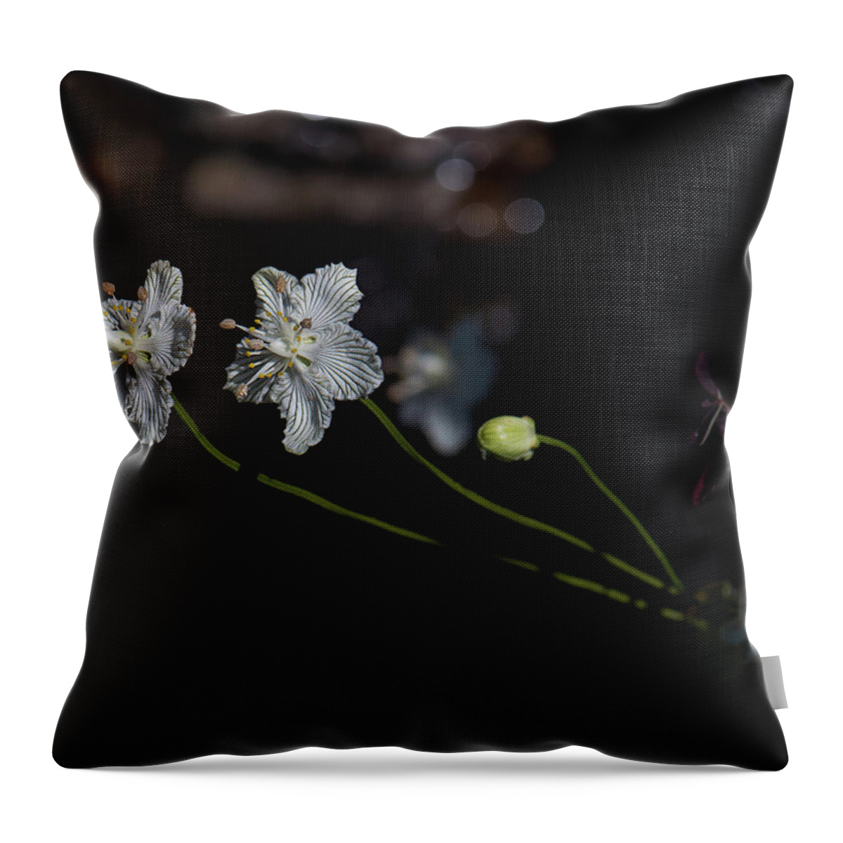 Flowers Throw Pillow featuring the photograph Pretty Pair by Greg Efner