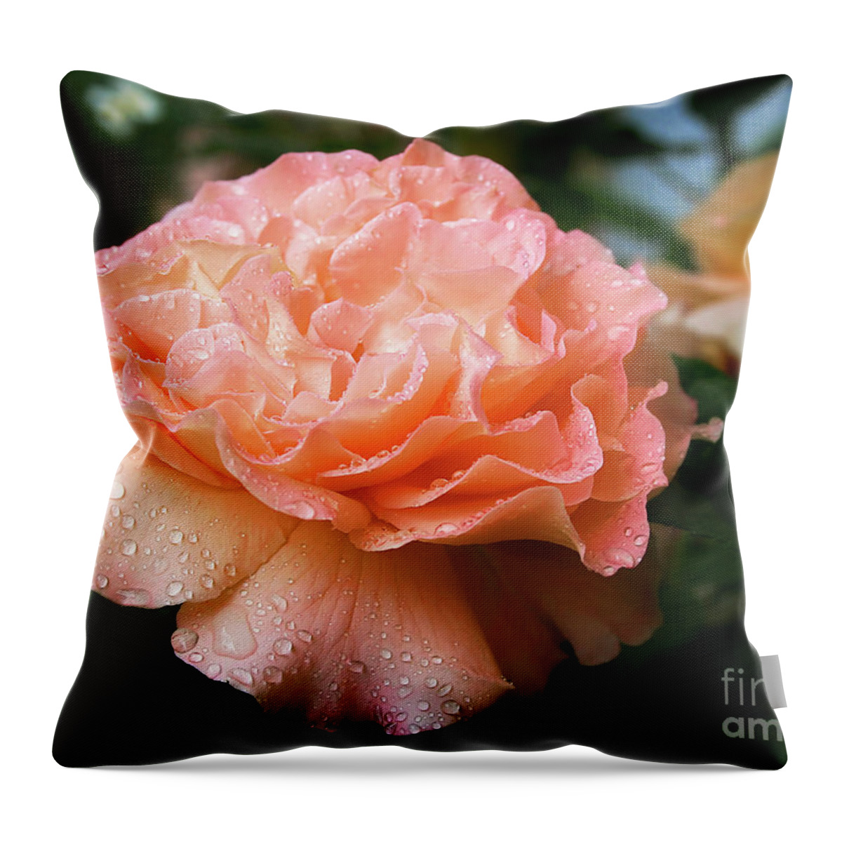 Gabriele Pomykaj Throw Pillow featuring the photograph Pretty Peach Peony Flower by Gabriele Pomykaj