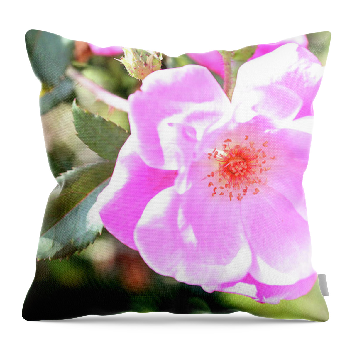 Flowers Throw Pillow featuring the photograph Pretty Pink Rose by Trina Ansel