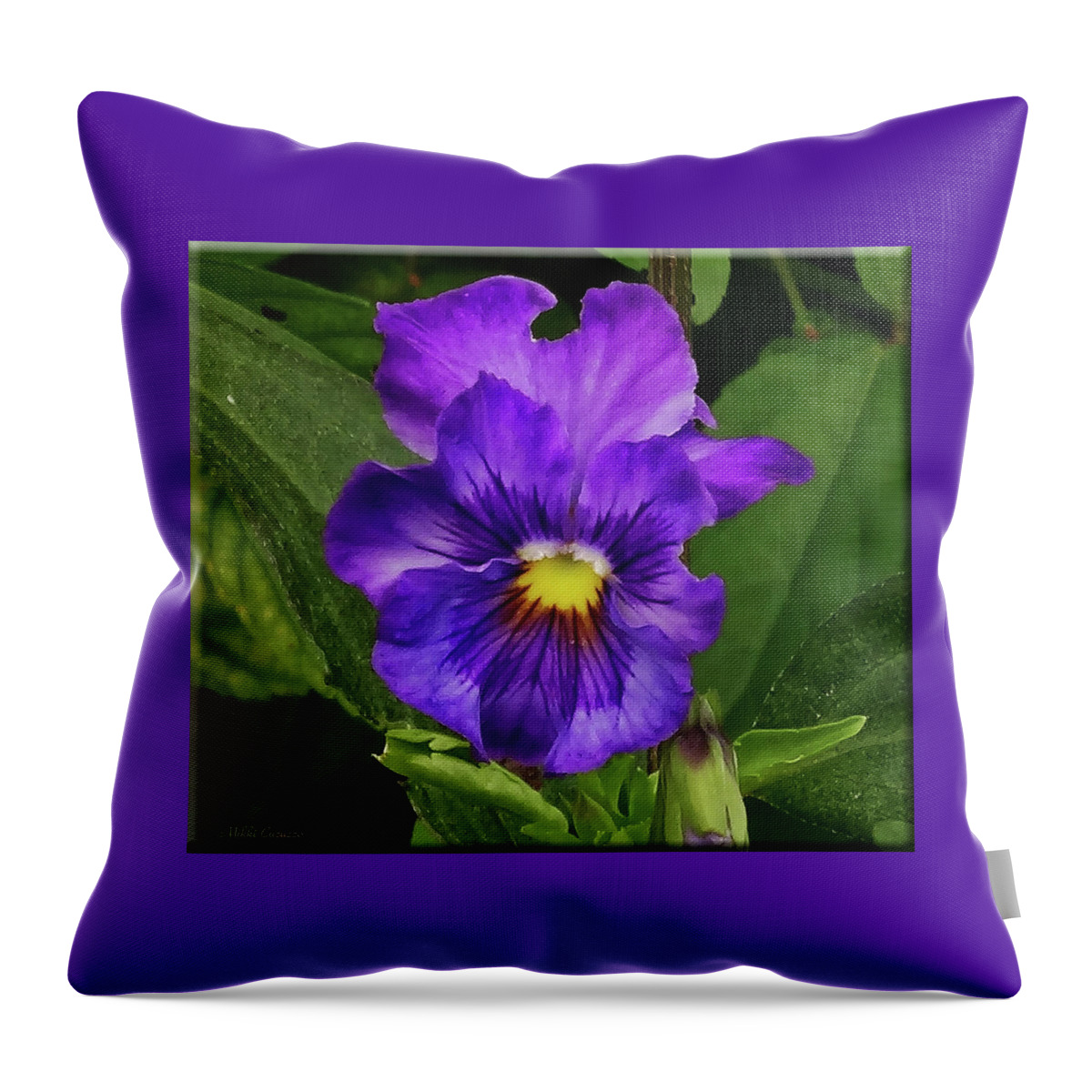 Floral Throw Pillow featuring the photograph Pretty Purple Pansie by Mikki Cucuzzo