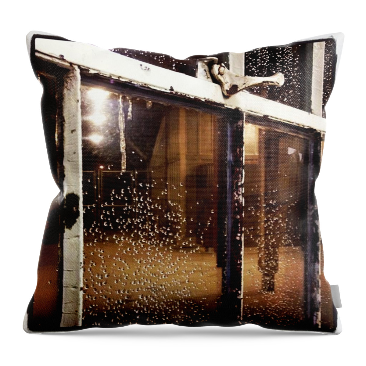  Throw Pillow featuring the photograph Pretty, Sparkly Window At Derby by Briana Bell