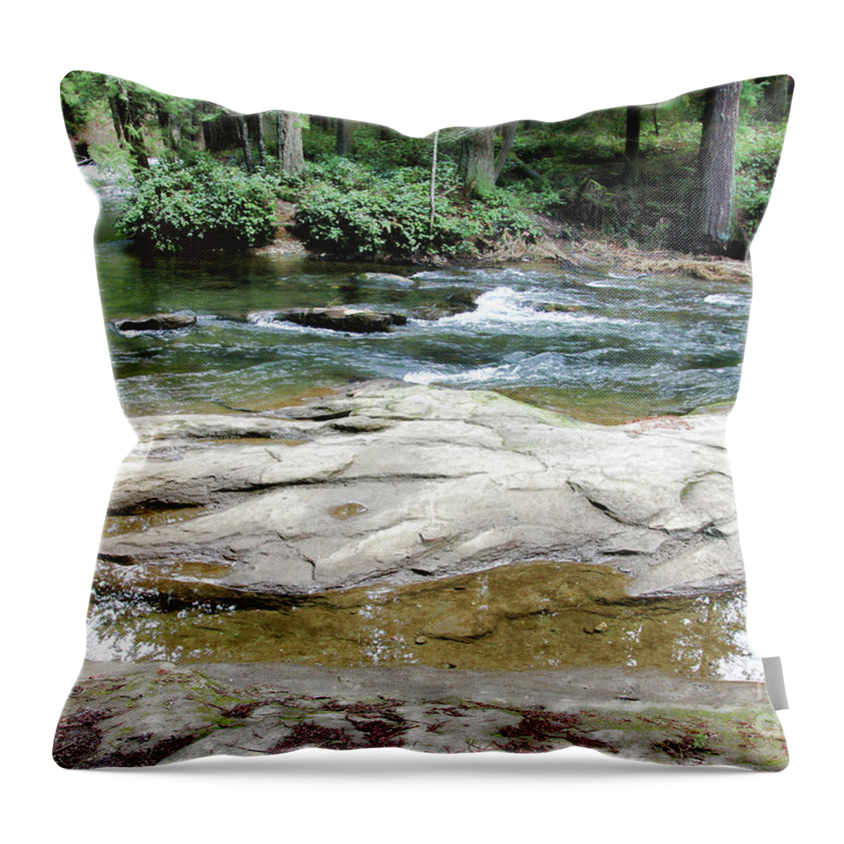 Whatcom Creek Throw Pillow featuring the photograph Pretty Whatcom Creek by Cheryl Rose