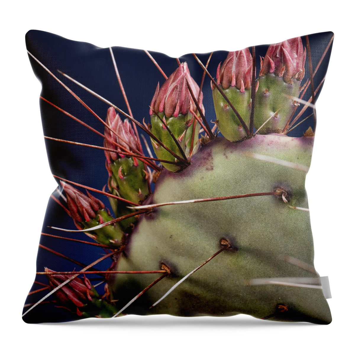 Prickly Pear Throw Pillow featuring the photograph Prickly Buds by Kelley King