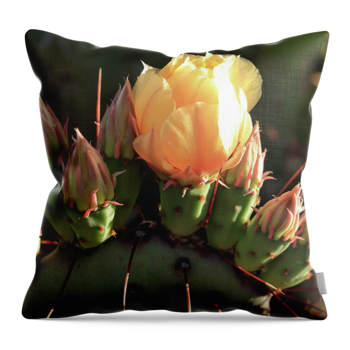Flower Throw Pillow featuring the photograph Prickly Pear Cactus by David Diaz