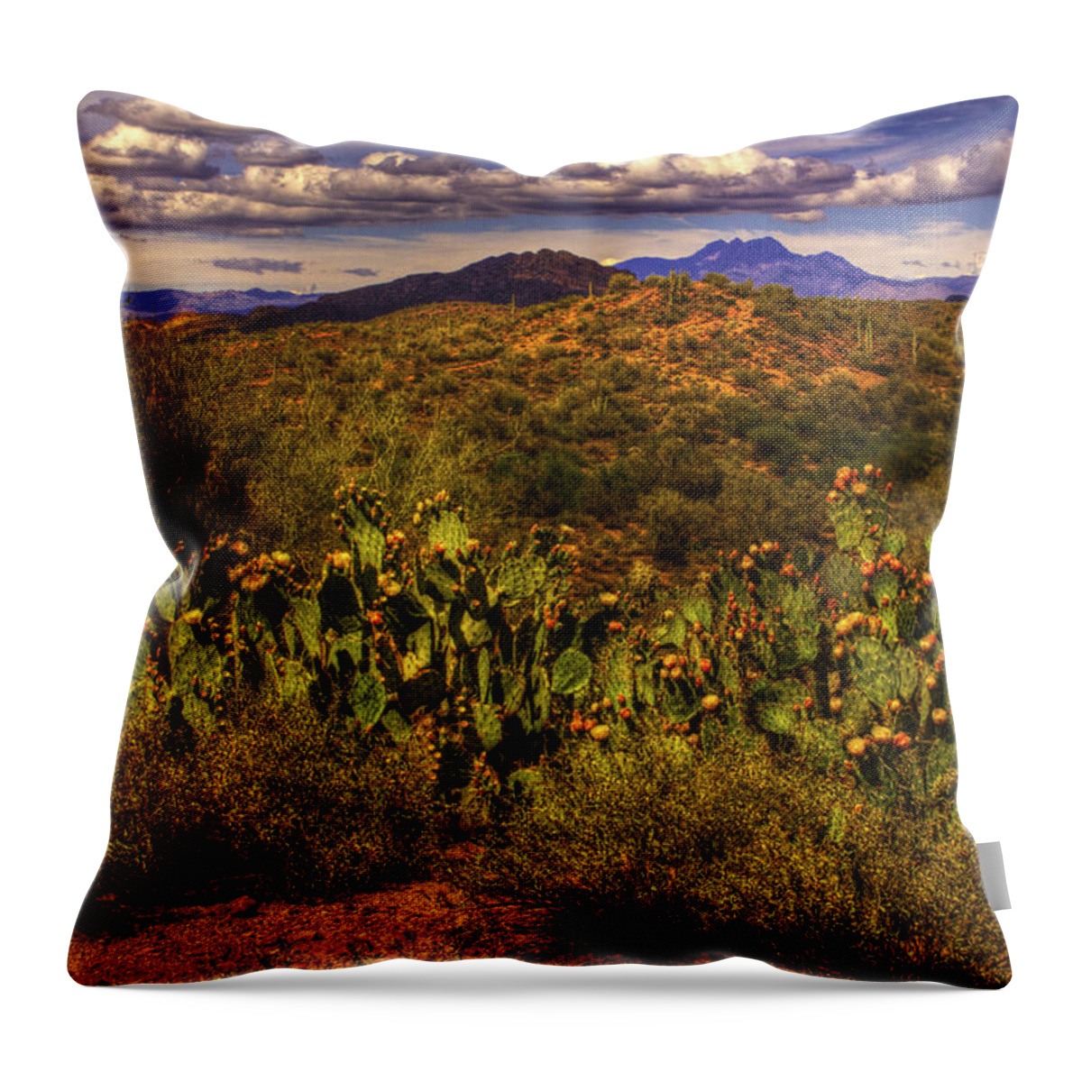 Pictorial Throw Pillow featuring the photograph Prickly Pears in Bloom by Roger Passman