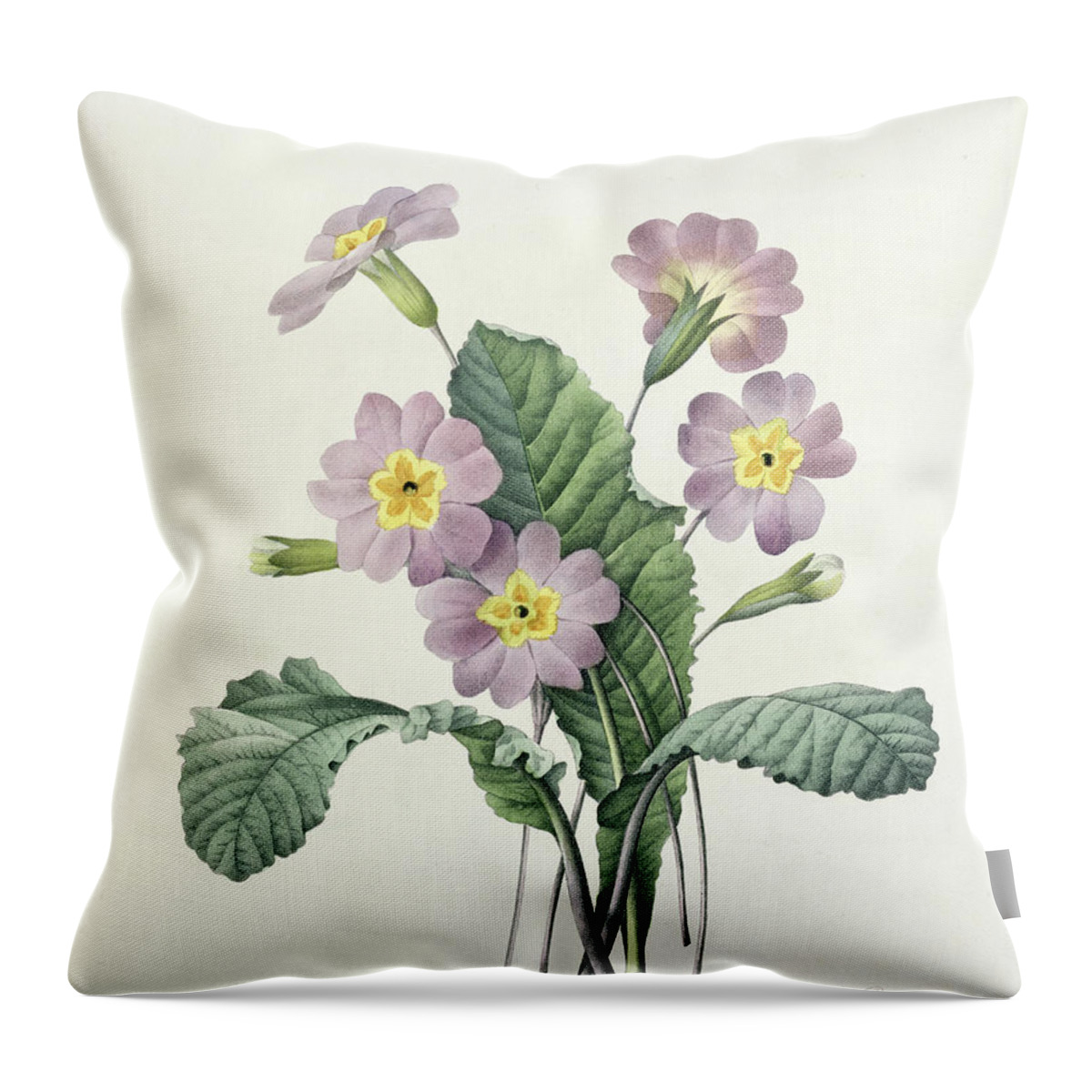 Primula Throw Pillow featuring the drawing Primrose by Pierre Joseph Redoute