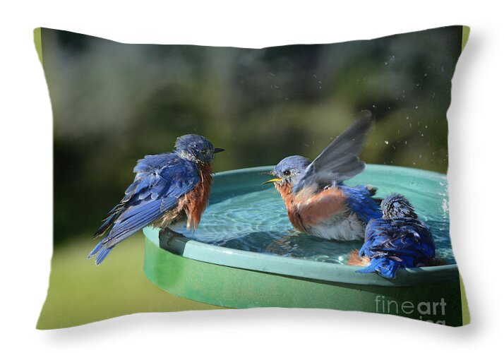 Nature Throw Pillow featuring the photograph Privacy Please by Nava Thompson