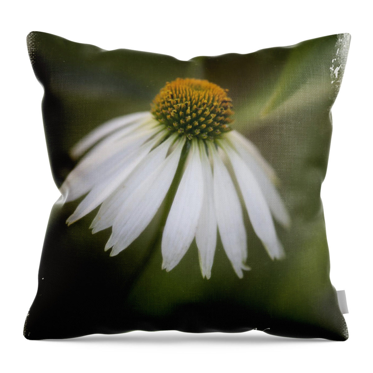 Coneflower Throw Pillow featuring the photograph Privileged by Jill Love
