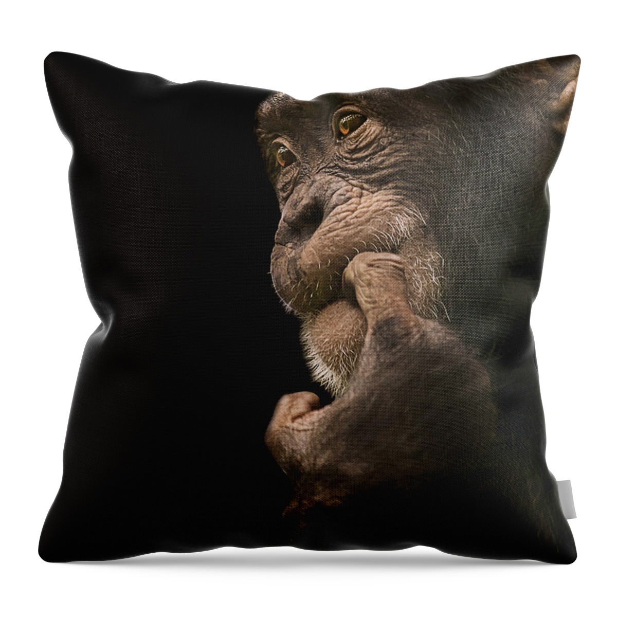 Chimpanzee Throw Pillow featuring the photograph Promiscuous Girl by Paul Neville