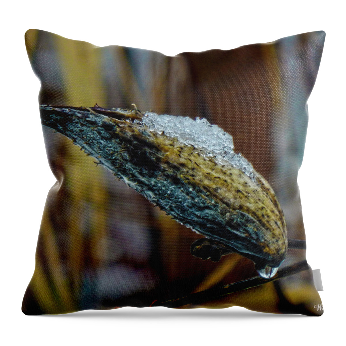 Winter Throw Pillow featuring the photograph Promise Unfulfilled by Wild Thing
