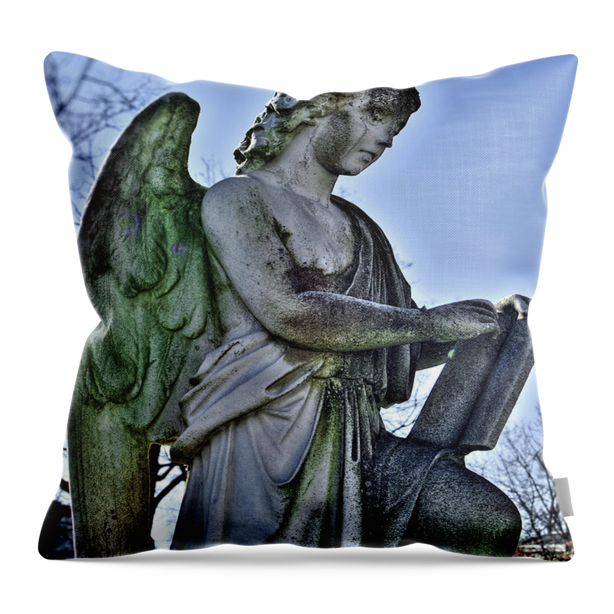 Gothic Throw Pillow featuring the photograph Prophecy by Tammy Wetzel