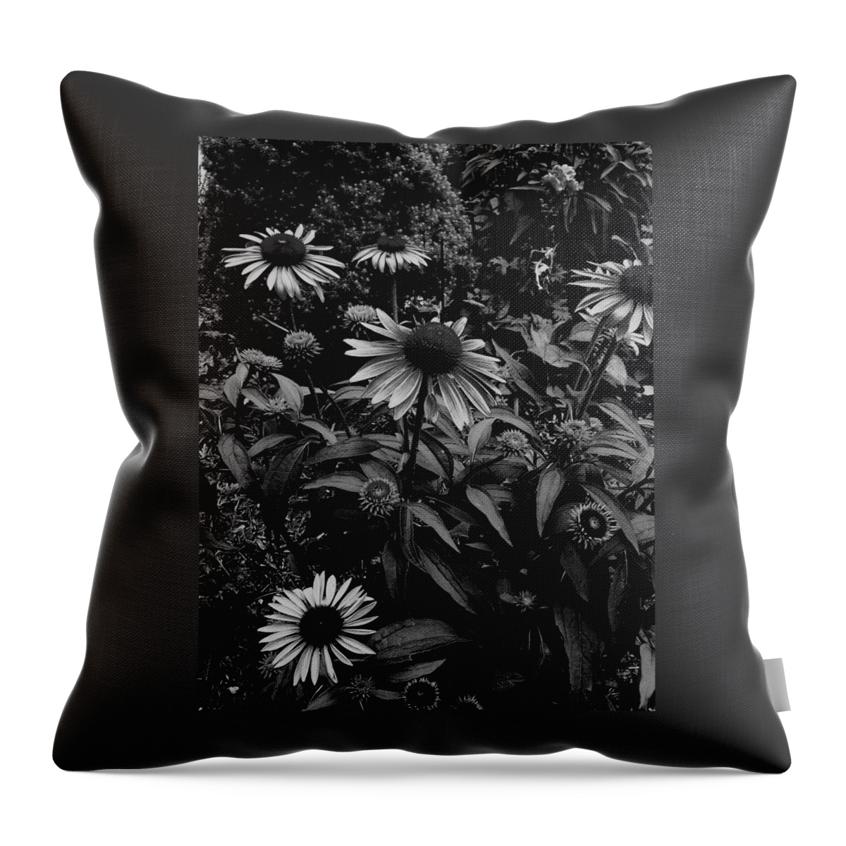 Black And White Photography Throw Pillow featuring the photograph Prosperity by Frank J Casella