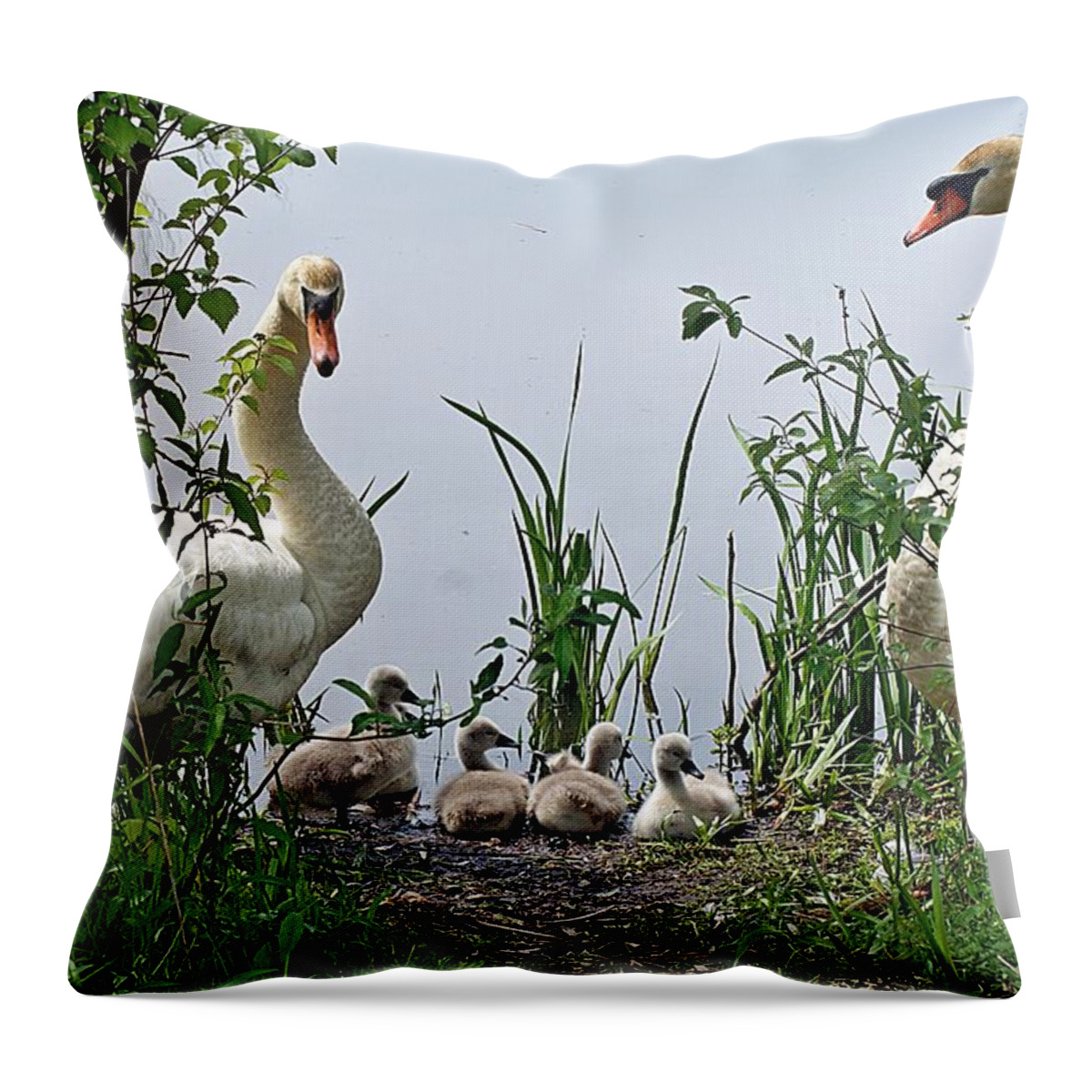 Horn Pond Throw Pillow featuring the photograph Protective Parents by Joe Faherty