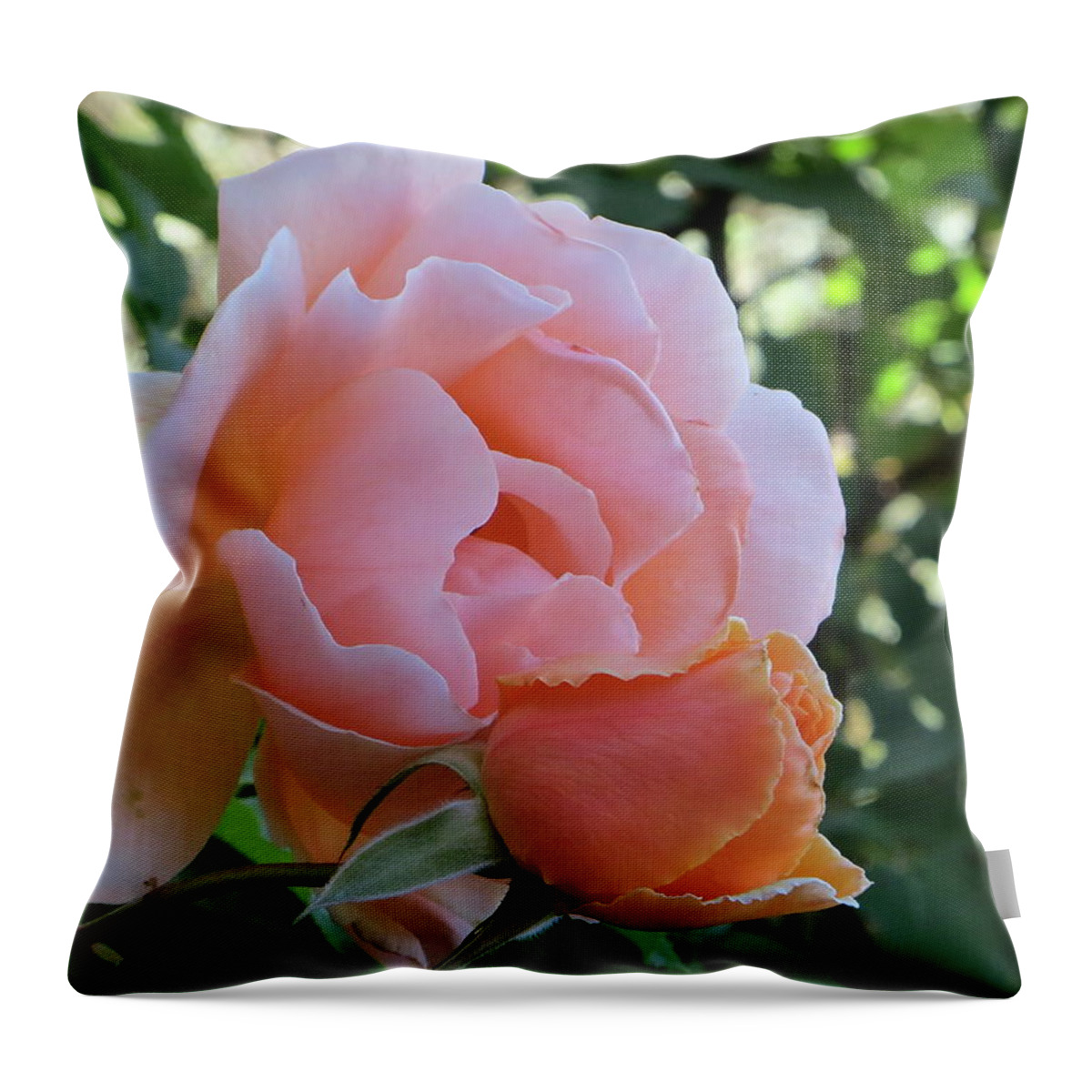 Rose Throw Pillow featuring the photograph Protective Rose by Patricia Haynes