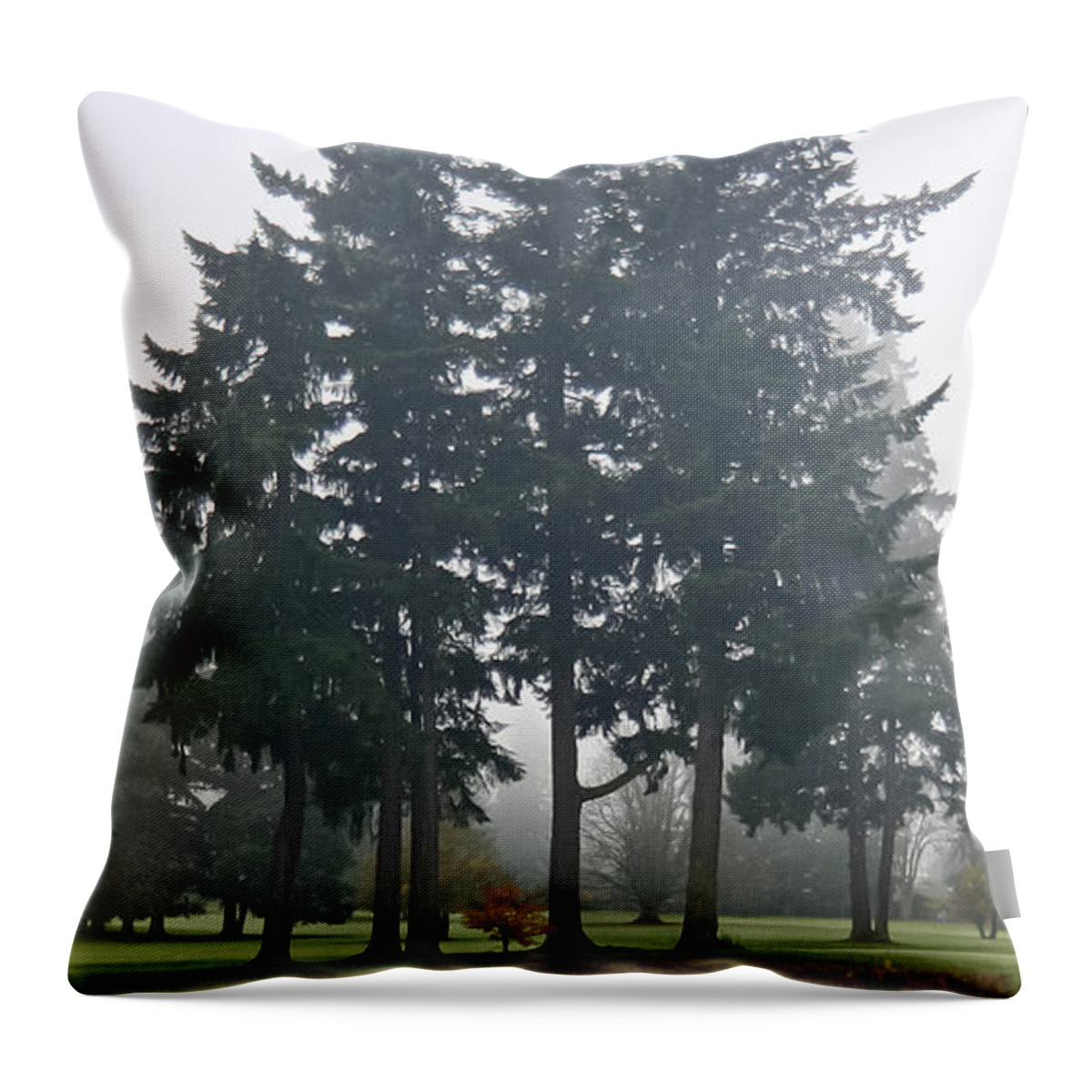 Trees Throw Pillow featuring the photograph Protectors by Albert Seger