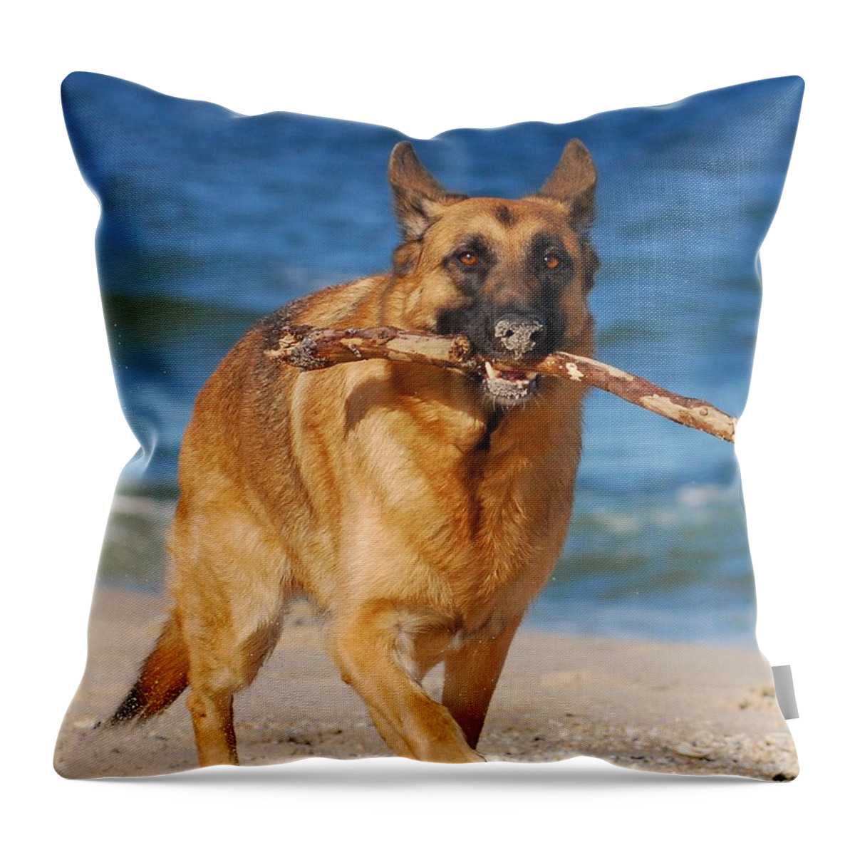 Animals Throw Pillow featuring the photograph Proud and Happy - German Shepherd Dog by Angie Tirado