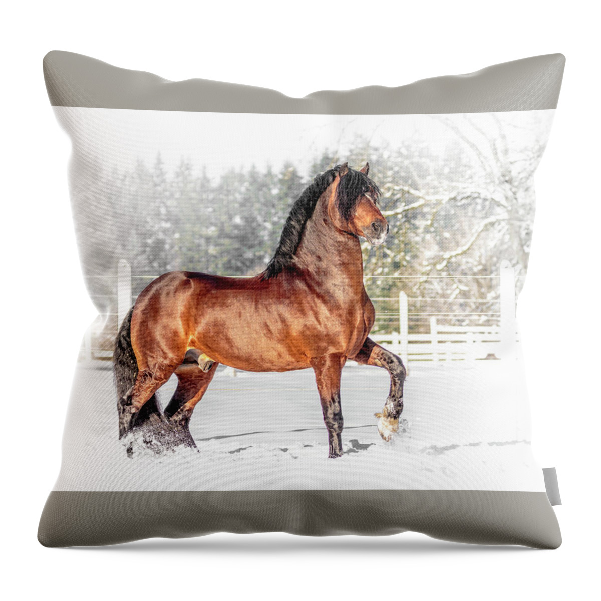 Proud Beauty Throw Pillow featuring the photograph Proud Beauty by Wes and Dotty Weber
