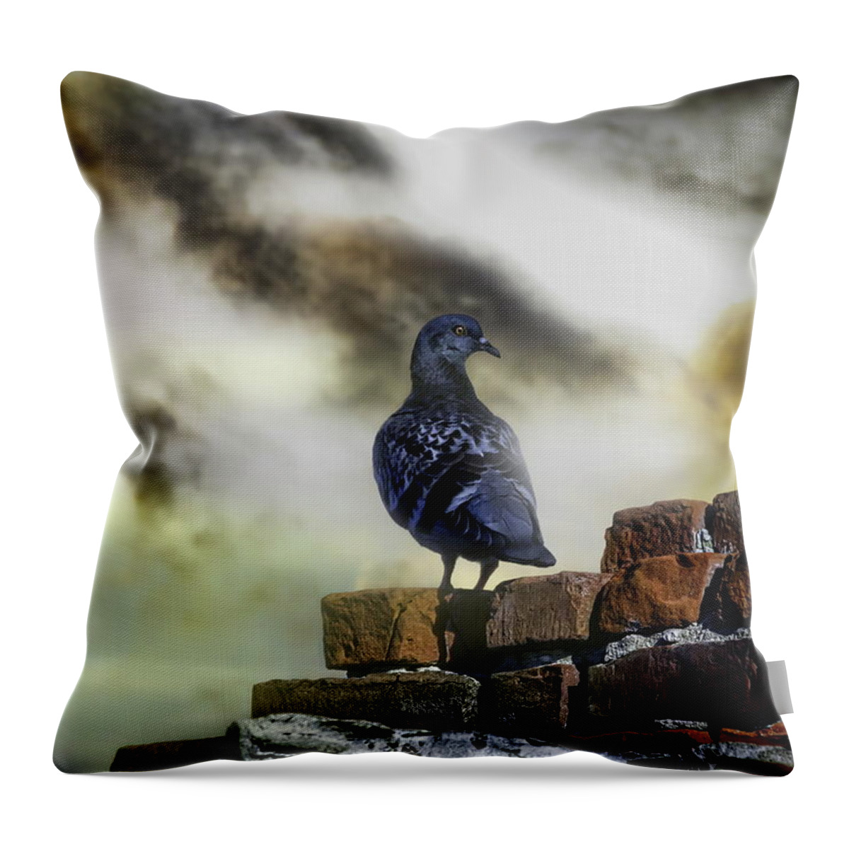 Pigeon Throw Pillow featuring the photograph Proud To Be A Pigeon by Bob Orsillo