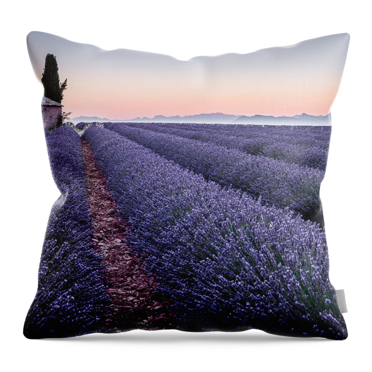 Provence Throw Pillow featuring the photograph Provence by Stefano Termanini