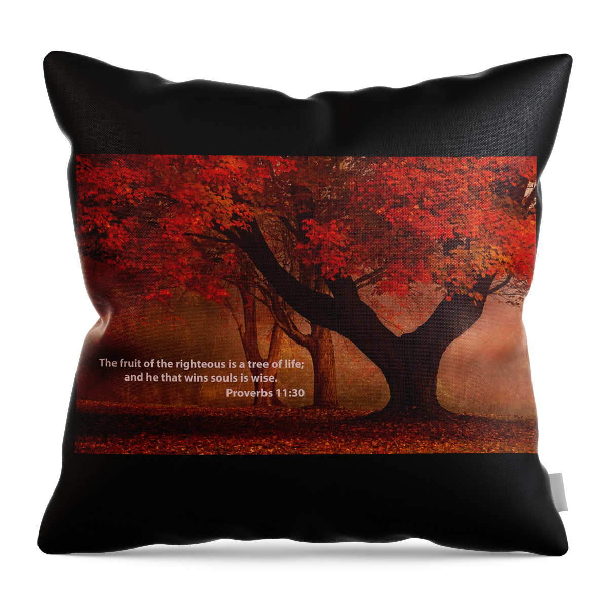 Proverbs 11:30 Throw Pillow featuring the photograph Proverbs 11 30 Scripture and Picture by Ken Smith